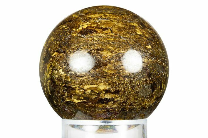 Golden Amphibolite Sphere - Western Australia #309136